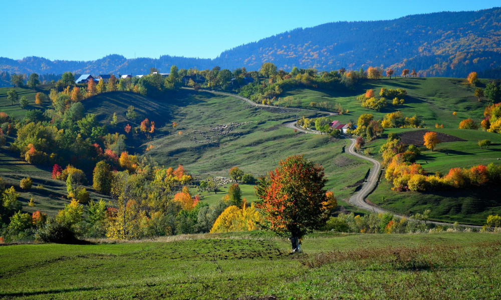 Photos du voyage La Roumanie en automne, a travers la Valachie, la Transylvanie, la Bucovine, la Roumanie, les meilleures visites et excursions avec un guide local